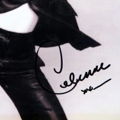 RARE-T Limited Edition Frames Celine Dion Limited Signature Edition Studio Licensed Photo Custom Frame