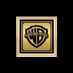 Rare-T Cher Believe Gold LP Limited Signature Edition Studio Licensed Custom Frame Limited Edition Frames 13 Rare-T Cher Believe Gold LP Limited Signature Edition Studio Licensed Custom Frame Limited Edition Frames