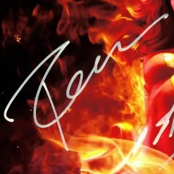 RARE-T X-Men Dark Phoenix Janssen & Stan Lee Limited Signature Edition Studio Licensed Photo Custom Frame Limited Edition Frames