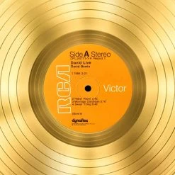RARE-T Limited Edition Frames David Bowie Live Gold LP Limited Signature Edition Studio Licensed Custom Frame