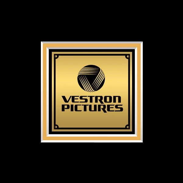 RARE-T Dirty Dancing Motion Picture Soundtrack Gold LP Limited Signature Edition Licensed Custom Frame Limited Edition Frames 3 RARE-T Dirty Dancing Motion Picture Soundtrack Gold LP Limited Signature Edition Licensed Custom Frame Limited Edition Frames