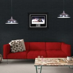 RARE-T Limited Edition Frames Elvira Mistress Of The Dark Photo Limited Signature Edition Studio Licensed Custom Frame