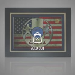 G.R.O. Limited Edition Frames Elvis Gold Laser Etched Lp Rare-T Exclusive Limited Edition Custom Frame