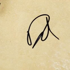 Rare-T Limited Edition Frames Foo Fighters Self-Titled Platinum LP Limited Signature Edition Studio Licensed Custom Frame