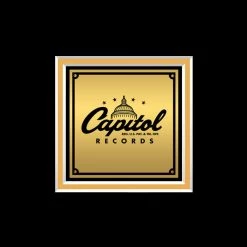 RARE-T Limited Edition Frames Foo Fighters Self-Titled Gold LP Limited Signature Edition Licensed Custom Frame