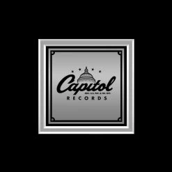 Rare-T Limited Edition Frames Foo Fighters Self-Titled Platinum LP Limited Signature Edition Studio Licensed Custom Frame