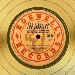 RARE-T Limited Edition Frames Foo Fighters Self-Titled Gold LP Limited Signature Edition Licensed Custom Frame