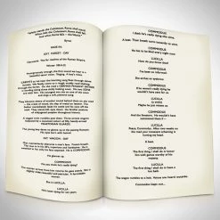 RARE-T Limited Edition Frames Gladiator Movie Script Limited Signature Edition Studio Licensed Custom Frame