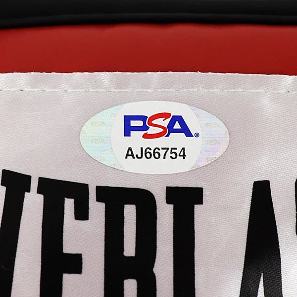 PPC Signed Memorabilia Rocky - PSA/DNA Certified Hand-Signed Boxing Glove By Sylvester Stallone Custom Museum Display 6 PPC Signed Memorabilia Rocky - PSA/DNA Certified Hand-Signed Boxing Glove By Sylvester Stallone Custom Museum Display