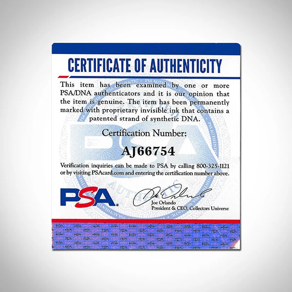 PPC Signed Memorabilia Rocky - PSA/DNA Certified Hand-Signed Boxing Glove By Sylvester Stallone Custom Museum Display 7 PPC Signed Memorabilia Rocky - PSA/DNA Certified Hand-Signed Boxing Glove By Sylvester Stallone Custom Museum Display