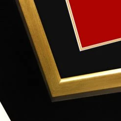 RARE-T Limited Edition Frames Darkthrone 'Transilvanian Hunger' Limited Collector Edition Studio Licensed Gold LP Custom Frame 19 RARE-T Limited Edition Frames Darkthrone 'Transilvanian Hunger' Limited Collector Edition Studio Licensed Gold LP Custom Frame