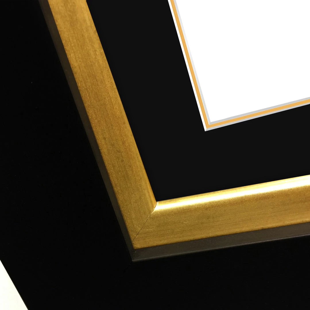 Rare-T Limited Edition Frames Alice Cooper Love It To Death Limited Signature Edition Studio Licensed Gold LP Custom Frame 11 Rare-T Limited Edition Frames Alice Cooper Love It To Death Limited Signature Edition Studio Licensed Gold LP Custom Frame