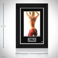 VAULT COLLECTIBLES Signed Memorabilia Harley Quinn 'Suicide Pin Up' Hand-Signed Artwork Print By Artist Nathan Szerdy Custom Frame