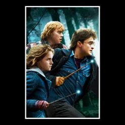 RARE-T Harry Potter Deathly Hallows Script Limited Signature Edition Studio Licensed Custom Frame Limited Edition Frames