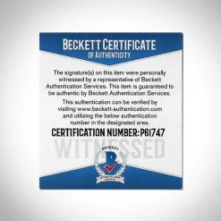 PPC Indiana Jones And The Last Crusade Holy Grail - Beckett Witnessed Hand Signed By Harrison Ford With Museum Display