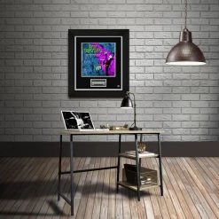 RARE-T Hotel Transylvania - Soundtrack LP Cover Limited Signature Edition Studio Licensed Custom Frame