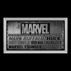 RARE-T Limited Edition Frames Hulkbuster Vs The Incredible Hulk Photo Limited Signature Edition Studio Licensed Custom Frame