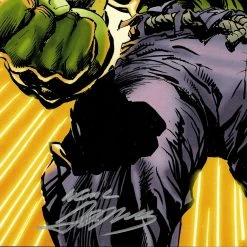 VAULT COLLECTIBLES The Incredible Hulk Hand-Signed Artwork Print By Artist Neal Adams Custom Frame Signed Memorabilia