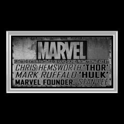 RARE-T Thor Vs The Incredible Hulk Photo Limited Signature Edition Studio Licensed Custom Frame Limited Edition Frames