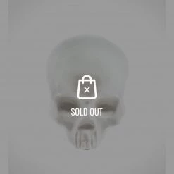 RARE-T Human Skull - Money 'Piggy' Bank