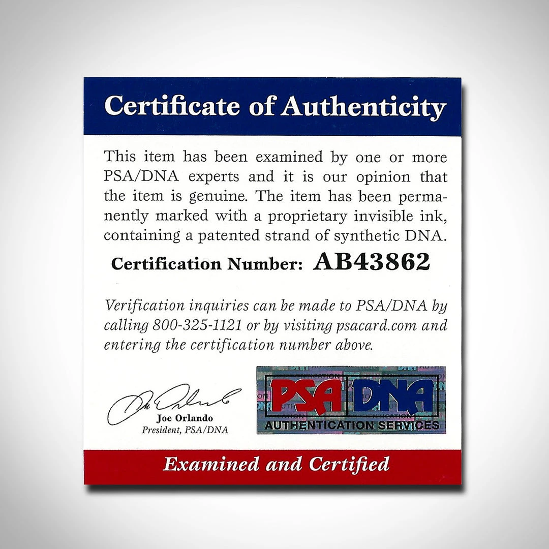 PPC Ice Age Psa/Dna Certified Hand-Signed Photo By Ray Romano Custom Frame Signed Memorabilia 8 PPC Ice Age Psa/Dna Certified Hand-Signed Photo By Ray Romano Custom Frame Signed Memorabilia