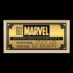 RARE-T Iron Fist #1 May (2017) Ed Brisson & Stan Lee Limited Signature Edition Comic Book Cover Art Custom Frame Limited Edition Frames