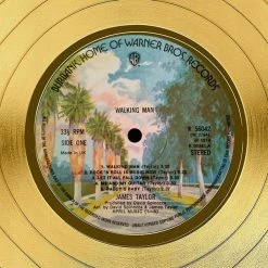 Rare-T Limited Edition Frames James Taylor Walking Man Gold LP Limited Signature Edition Studio Licensed Custom Frame