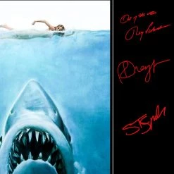 RARE-T Limited Edition Frames Jaws - Movie Soundtrack Limited Signature Edition Studio Licensed Platinum LP Custom Frame
