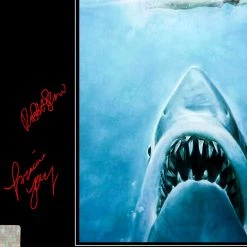RARE-T Limited Edition Frames Jaws - Movie Soundtrack Limited Signature Edition Studio Licensed Platinum LP Custom Frame