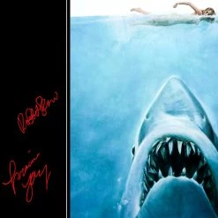 RARE-T Limited Edition Frames Jaws Movie Soundtrack Limited Signature Edition Studio Licensed LP Cover Custom Frame