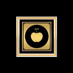 RARE-T John Lennon The John Lennon Experience Gold LP Limited Signature Edition Studio Licensed Custom Frame