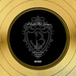 RARE-T Limited Edition Frames Jonas Brothers - A Little Bit Longer Gold LP Limited Signature Edition Studio Licensed Custom Frame