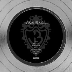 RARE-T Jonas Brothers - A Little Bit Longer Platinum LP Limited Signature Edition Studio Licensed Custom Frame