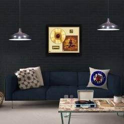RARE-T Kanye West College Dropout Gold LP Limited Signature Edition Studio Licensed Custom Frame
