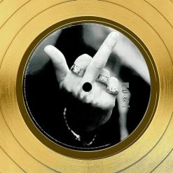 RARE-T Kid Rock Devil Without A Cause Gold LP Limited Signature Edition Studio Licensed Custom Frame 14 RARE-T Kid Rock Devil Without A Cause Gold LP Limited Signature Edition Studio Licensed Custom Frame