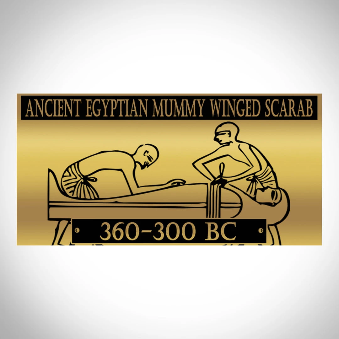 Best Of Egypt Ancient Artifacts Winged Scarab - Ancient Egyptian Large Sandstone Winged Scarab Custom Museum Display 8 Best Of Egypt Ancient Artifacts Winged Scarab - Ancient Egyptian Large Sandstone Winged Scarab Custom Museum Display