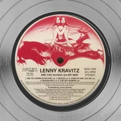 Rare-T Lenny Kravitz - Are You Gonna Go My Way Platinum LP Limited Signature Edition Studio Licensed Custom Frame