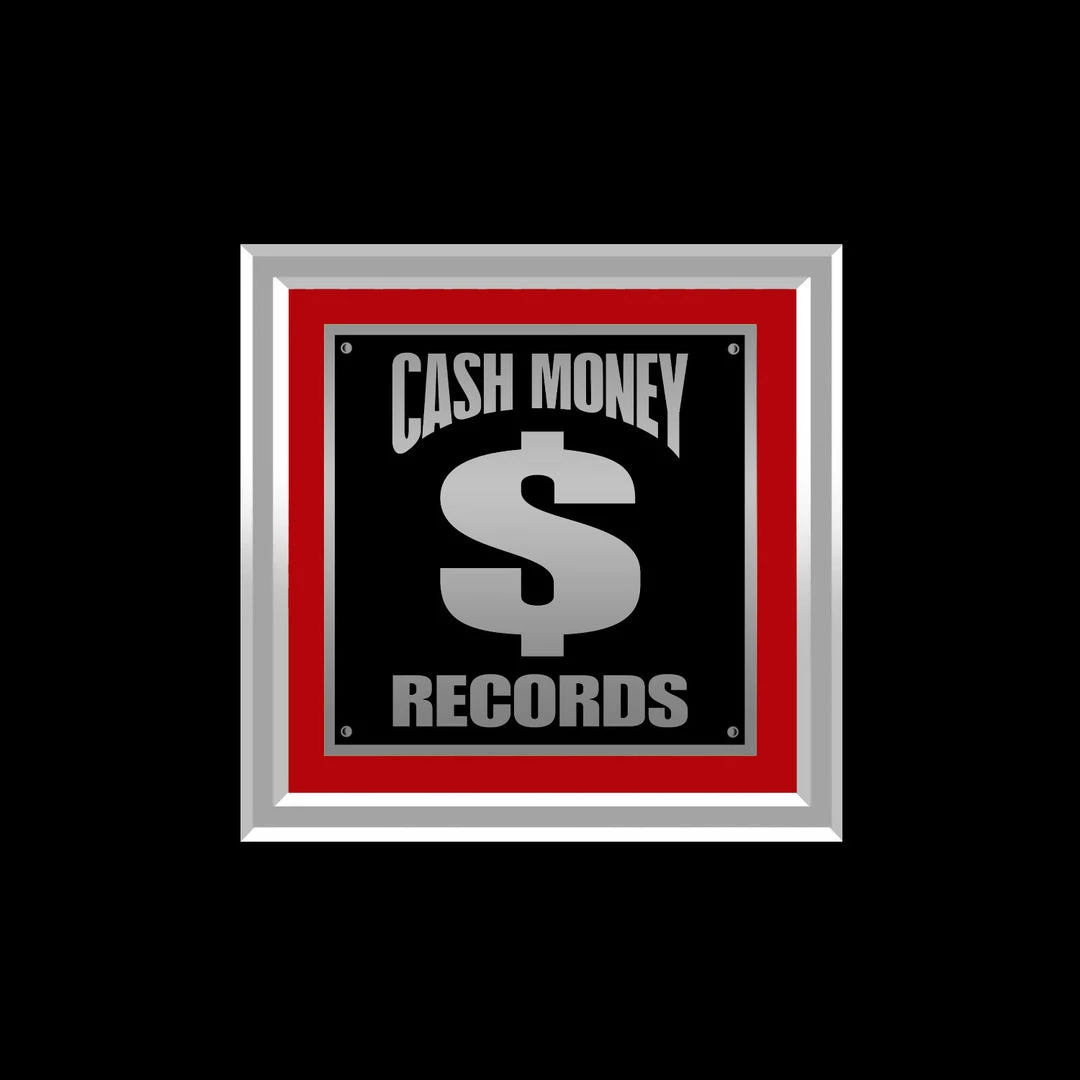 RARE-T Lil Wayne Tha Carter III Platinum LP Limited Signature Edition Studio Licensed Custom Frame 4 RARE-T Lil Wayne Tha Carter III Platinum LP Limited Signature Edition Studio Licensed Custom Frame