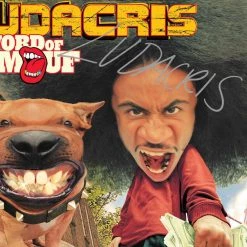 RARE-T Ludacris - Word Of Mouf LP Cover Limited Signature Edition Studio Licensed Custom Frame Limited Edition Frames