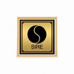 Rare-T Madonna Burning Up Gold LP Limited Signature Edition Studio Licensed Custom Frame Limited Edition Frames 14 Rare-T Madonna Burning Up Gold LP Limited Signature Edition Studio Licensed Custom Frame Limited Edition Frames