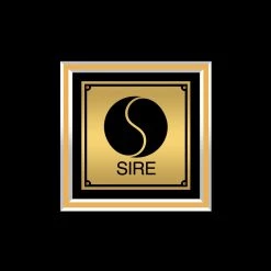 Rare-T Limited Edition Frames Madonna Like A Prayer Limited Signature Edition Studio Licensed Gold LP Custom Frame