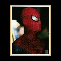 RARE-T The Amazing Spider-Man Photo Limited Signature Edition Studio Licensed Custom Frame 14 RARE-T The Amazing Spider-Man Photo Limited Signature Edition Studio Licensed Custom Frame