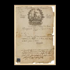 RARE-T Napol?on Bonaparte - French Republic Army Document Limited Signature Edition Studio Licensed Emancipation Proclamation Custom Frame Limited Edition Frames