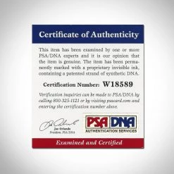 PPC Signed Memorabilia Marvel Characters Stan Lee Art Psa/Dna Certified Hand-Signed Canvas By Stan Lee Custom Frame