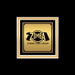 RARE-T Tool - Vicarious Gold LP Limited Signature Edition Studio Licensed Custom Frame Limited Edition Frames 16 RARE-T Tool - Vicarious Gold LP Limited Signature Edition Studio Licensed Custom Frame Limited Edition Frames