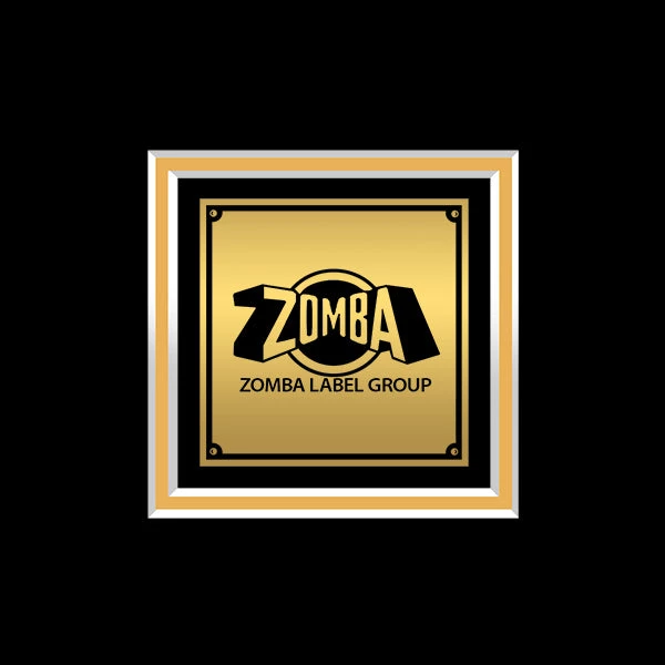 RARE-T Tool - Vicarious Gold LP Limited Signature Edition Studio Licensed Custom Frame Limited Edition Frames 7 RARE-T Tool - Vicarious Gold LP Limited Signature Edition Studio Licensed Custom Frame Limited Edition Frames