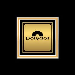 RARE-T Enrique Iglesias - Euphoria Gold LP Limited Signature Edition Studio Licensed Custom Frame