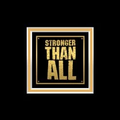 RARE-T Pantera Vulgar Display Of Power Gold LP Limited Signature Edition Studio Licensed Custom Frame 13 RARE-T Pantera Vulgar Display Of Power Gold LP Limited Signature Edition Studio Licensed Custom Frame