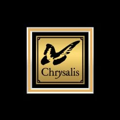 Rare-T Limited Edition Frames Fabulous Thunderbirds - Girls Go Wild Gold LP Limited Signature Edition Studio Licensed Custom Frame