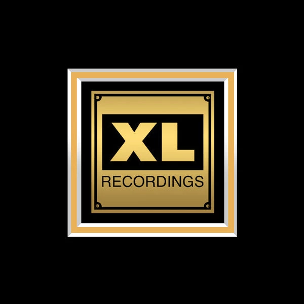 RARE-T Limited Edition Frames Radiohead The King Of Limbs Gold LP Limited Signature Edition Studio Licensed Custom Frame 5 RARE-T Limited Edition Frames Radiohead The King Of Limbs Gold LP Limited Signature Edition Studio Licensed Custom Frame